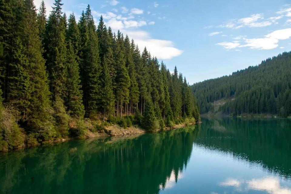 Camping Aviator, Numai Teren, Campare Pentru Rulote Autorulote Personale, Campingul Nu Are Rulote !!! Busteni Buşteni Exterior foto